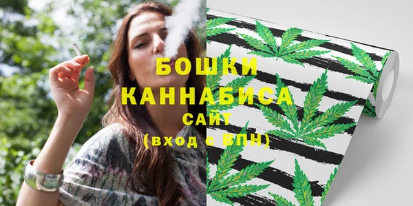 дурь Белокуриха
