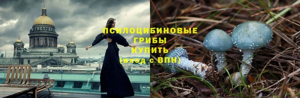 дурь Белокуриха