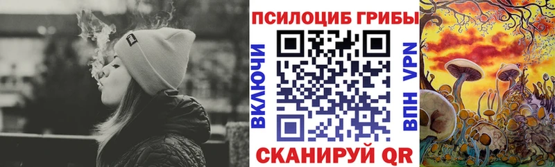omg сайт  Нижний Тагил  Псилоцибиновые грибы Magic Shrooms 